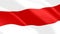 Flag of the historical Belarusian People`s Republic wavy close up. Exelent shiny national belarus republic flag flies in the wind