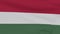 flag Hungary patriotism national freedom, seamless loop