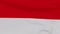 flag Indonesia patriotism national freedom, seamless loop