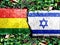 The flag of Israel and the flag of Bolivia are both made from paint crackle patterns.