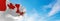 flag of Land Force Command 1998 2013 , Canada at cloudy sky background on sunset, panoramic view. Canadian travel and patriot