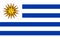 flag of Latin Americans Uruguayans. flag representing ethnic group or culture, regional authorities. no flagpole. Plane layout,