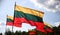 Flag of Lithuania, flying in lawn, tricolor flag