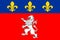 Flag of Lyon in Auvergne-Rhone-Alpes region in France