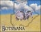 Flag Map of Botswana on which is a picture of a zebras. There is the text of Botswana. There is It is national african background