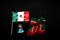 Flag of Mexico one of the Mexican national symbols with the colors green, white, red and a national shield with an eagle devouring