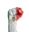 Flag of Mexico painted on human fist like victory symbol