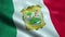 Flag of the Mexico State of Coahuila Seamless Looping Waving Animation