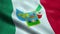 Flag of the Mexico State of Hidalgo Seamless Looping Waving Animation