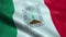 Flag of the Mexico State of Morelos Seamless Looping Waving Animation