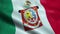 Flag of the Mexico State of Oaxaca Seamless Looping Waving Animation