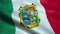Flag of the Mexico State of Tamaulipas Seamless Looping Waving Animation