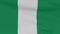 flag Nigeria patriotism national freedom, seamless loop