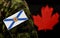 Flag of Nova Scotia New Scotland on the military uniform and red Maple leaf on the background. Flag of Canadian province of Nova