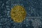 Flag of Palau on a old metal rusty cracked wall with text coronavirus, covid, and virus picture