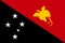Flag Papua New Guinea flat style