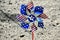 Flag Pinwheel