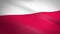 Flag of Poland. Waving flag with highly detailed fabric texture seamless loopable video. Seamless loop with highly
