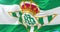 Flag of Real Betis football waving at wind, loop