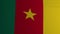 The flag of the Republic of Cameroon flutters in the wind. Fabric texture. Africa. Cg