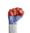 Flag of Republika Srpsk painted on human fist like victory