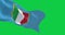 Flag of Scudetto trophy waving isolated on a green background