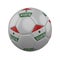 Flag of Somaliland on soccer ball on white background, 3D render