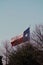 Flag of Texas blowing in the wind against a beautiful backdrop of lush green trees