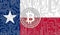 flag of Texas state of USA and bitcoin, Integrated Circuit Board pattern. Bitcoin Stock Growth. Conceptual image for investors in