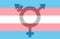 Flag transsexual, simple flat design transgender symbol, lgbt banner