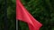 The flag of Tunisia waves in the wind in slow motion