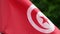 The flag of Tunisia waves in the wind in slow motion