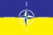 The flag of Ukraine against the background of the NATO flag. Ukraine and the concept of NATO. Illustration