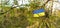 Flag of Ukraine on the pine branch. National Ukrainian symbol