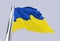 Flag of Ukraine. Waving in the wind.