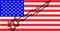 Flag of USA and bitcoin arrow graph going up