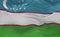 Flag of the Uzbekistan waving in the wind 3d render