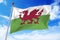 Flag of Wales developing against a clear blue sky