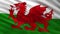 Flag of Wales seamless loop