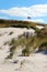 Flag waving in dunes