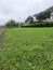 flagpole on green grass