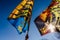 Flags of the brotherhood of Sbandieratori Di Fivizzano parading in a medieval festival