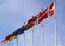 Flags from Denmark, Norway, Sweden, Germany and United Kingdom waving from flagpoles together with the EU, European Union, flag ag