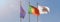 Flags of the european union and portugal and a special lisbon city flag