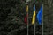 Flags of European Union, Ukraine and Lithuania, green background