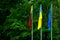 Flags of European Union, Ukraine and Lithuania, green background