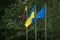 Flags of European Union, Ukraine and Lithuania, green background