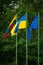 Flags of European Union, Ukraine and Lithuania, green background