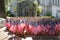 Flags on Fourth of July at the California Peace Officers Memorial at the California State Capitol Museum