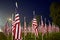 Flags in the Healing Fields for 9/11